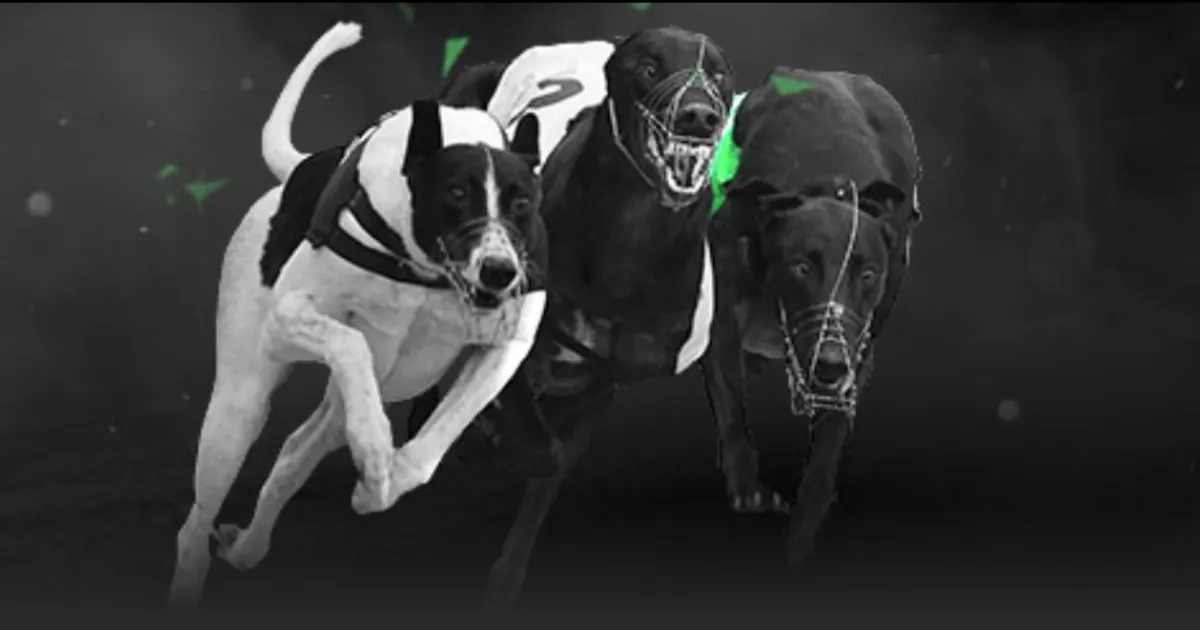 邵佳一严正,提醒西海岸,球员,在线体育投注,bet365中文官网,BET365体育