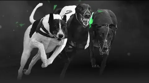 邵佳一严正提醒西海岸球员：职业精神何在？可乐饮品岂宜常饮？